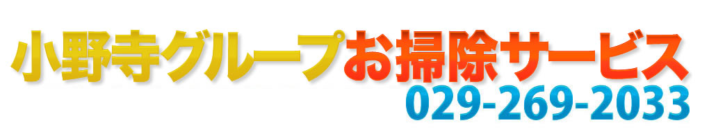 社会に貢献しているボランティア企業